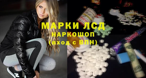 трава Магас