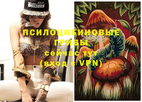 трава Магас