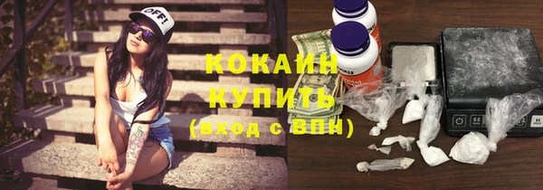 трава Магас